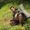Husain  Tinwala's Photo