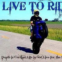 Shawn Adamek's Photo