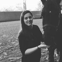 Denise Bengochea的照片