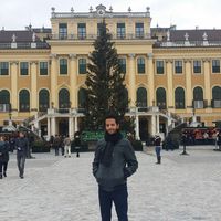 Le foto di Ibra jerar