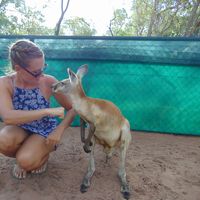 Fotos de Marion Henin