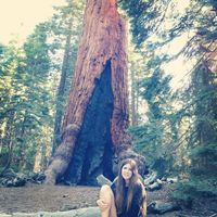 Ruth Toronell的照片