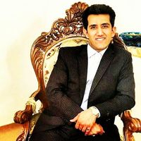 Amir  Heshmat的照片