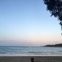 Bruno Galli的照片