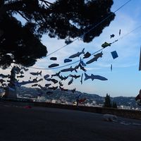 gale tornado的照片