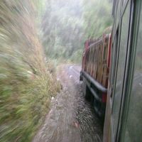 Nupur Chaturvedi's Photo