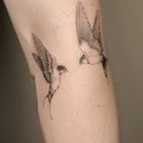 Fine line Tattoo Artist Roma's picture