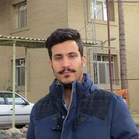 Hamed Bashiri的照片