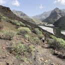 Camping Playa de Güigüi's picture