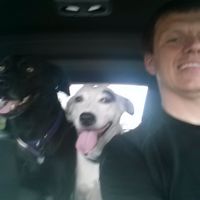 Matthew Wrage的照片