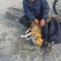 Photos de Sergio Fuente