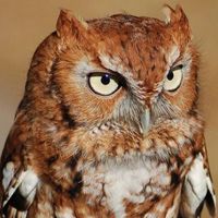 Photos de Yuri Arten Forte