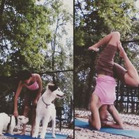 Andra Hayward's Photo