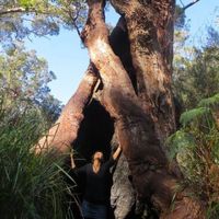 Emilie ALLOUCHE's Photo