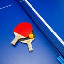 Photo de l'événement Table Tennis 