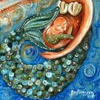 Rita Silvestre的照片