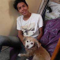 Jean Rodriguez的照片