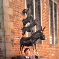 Fotos de Candra Nichland