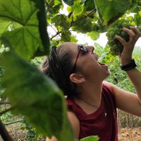 Photos de Gisela Royes Falcó