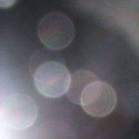 Dorota Mortek的照片