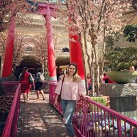 Фотографии пользователя Cecilia Mtz