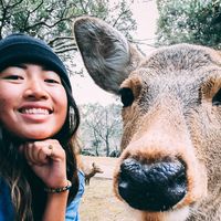 Le foto di Jennifer Chow
