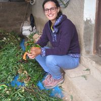 Susan Conlon's Photo