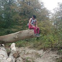 Mostafao Alavi的照片