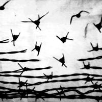 Marian Guenchupan的照片