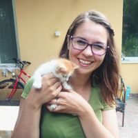 Panni Dávid的照片