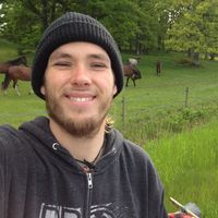 Adam Forsberg的照片