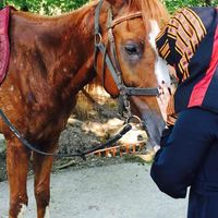 Fotos de Tasnim Yaseen