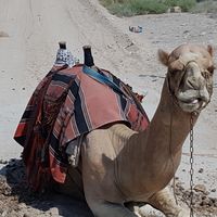 Leonardo Jakubson's Photo