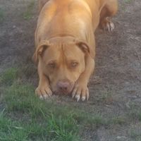 Fotos de Travis Timpson