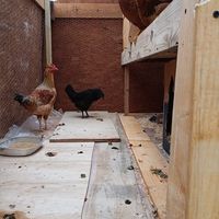 David Sanchez's Photo