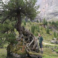 Riccardo Pogliani的照片