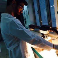 Ibrahim Kayım的照片