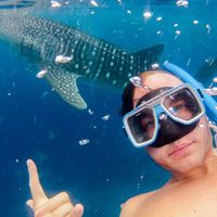 Фотографии пользователя Arild Barka