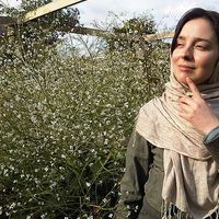 Eileen Hawkes's Photo