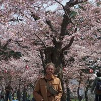 Zdjęcia użytkownika Rom Savidor