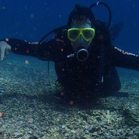 Lyncoln Fontes's Photo