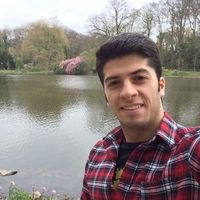 Milad Yazdani的照片