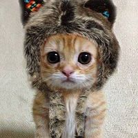 Husein Bandi's Photo