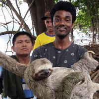 allan mahamoud的照片