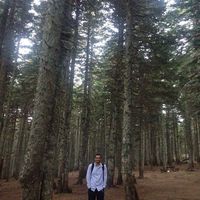 Mostafa El-Hussain's Photo