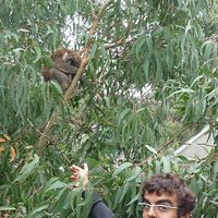 Javier Alegre的照片