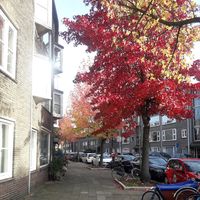 Hina Maqsood的照片