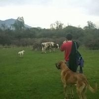 Claudio Munoz's Photo