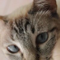 Poki Tortuga's Photo