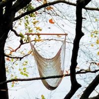 Sylvie Schil's Photo